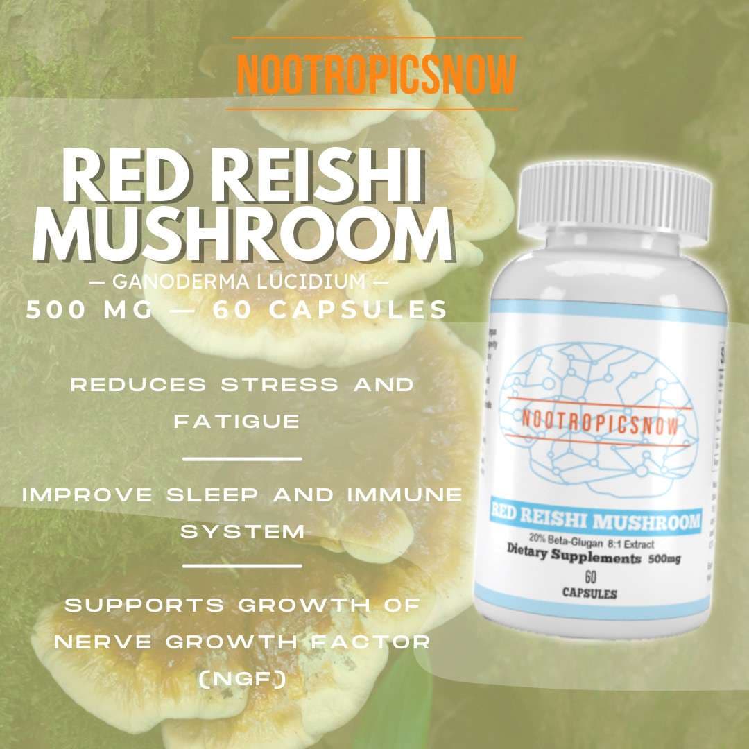 Red Reishi Mushroom 8:1