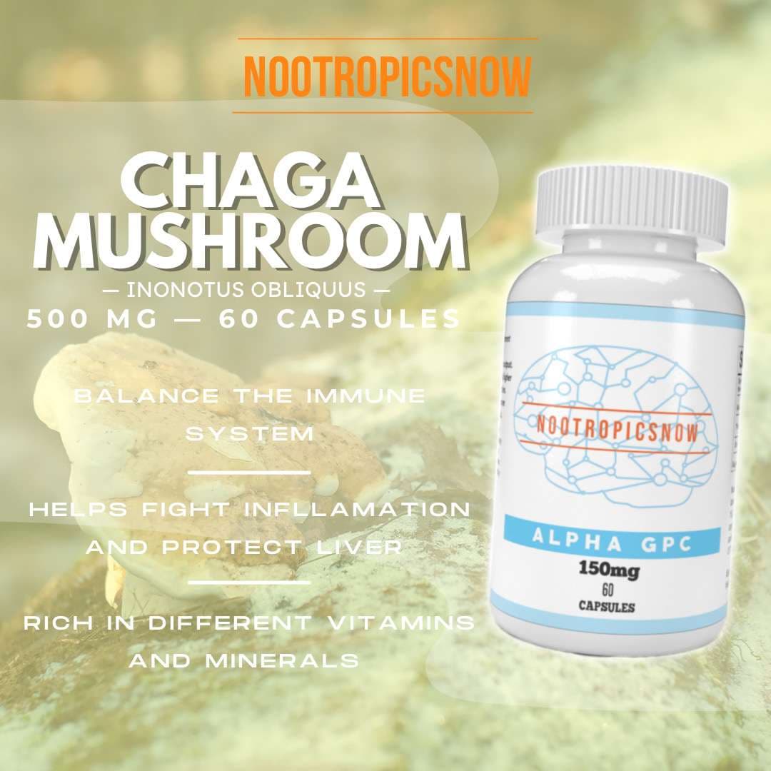 Chaga Mushroom 1:1