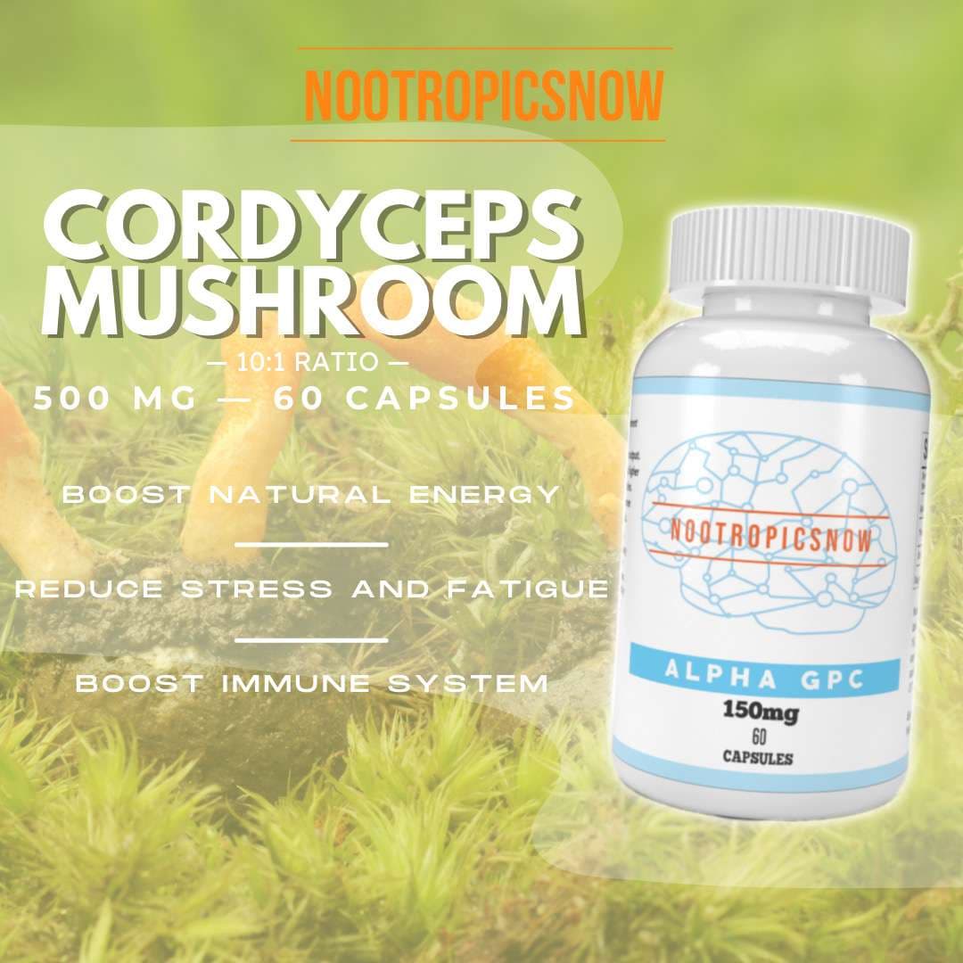 Cordyceps Mushroom 10:1