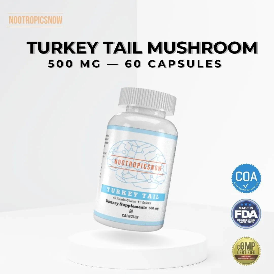 Turkey Tail Mushroom